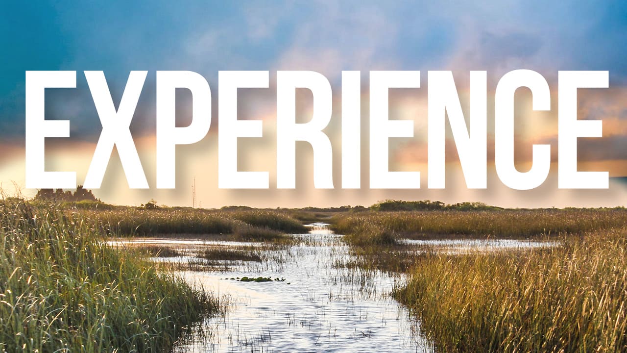 Experience